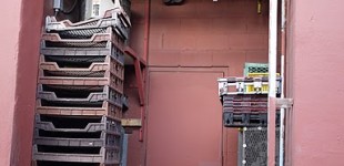 P1010782
