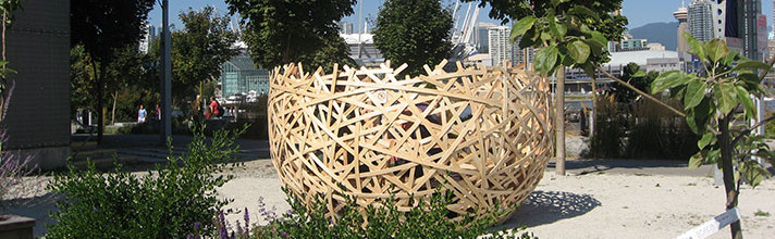Nest Nest