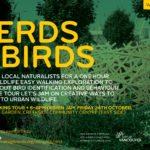 Nerds & Birds